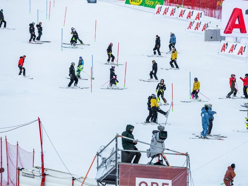 Organisation und Zeitplan Verlinkung